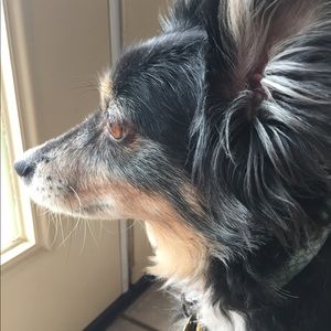 Meet your Posher, Stacey